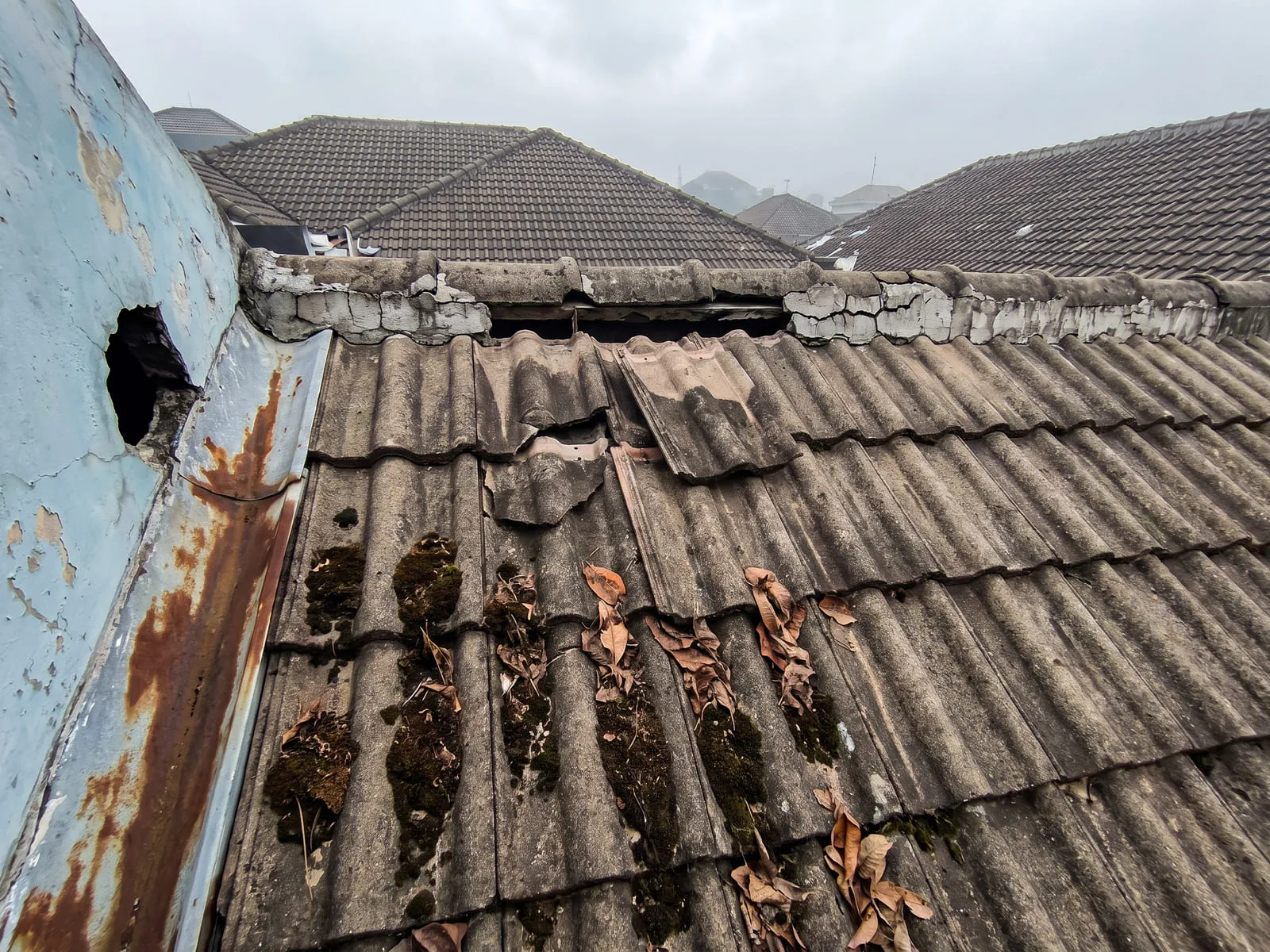 Bidang atap dilihat dari atas dengan genteng yang bergeser dan pecah di beberapa titik, nok yang adukannya sudah retak dan terkelupas, serta lumut di sela genteng.